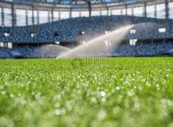 激情对决半,场告捷,阿森纳,亚博体育,亚博体育app,亚博体育官网,亚博体育下载,亚博体育入口