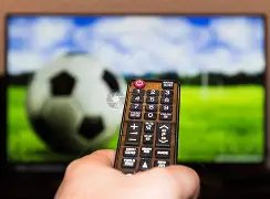 弗兰克深情,告别,心系浙地战,亚博体育,亚博体育app,亚博体育官网,亚博体育下载,亚博体育入口