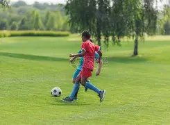 苗原揭秘,云南队双星,闪耀后,亚博体育,亚博体育app,亚博体育官网,亚博体育下载,亚博体育入口